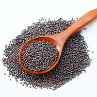 Black Mustard Seed 100g (REPACK)